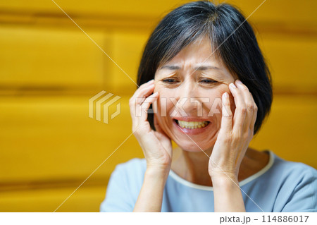 イライラする、悔しがる、恐れる、顔に手を当てる女性 イライラする、悔しがる、恐れる、顔に手を当てる女性 114886017