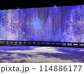 足利フラワーパーク　イルミネーション 114886177