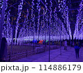 足利フラワーパーク　イルミネーション 114886179