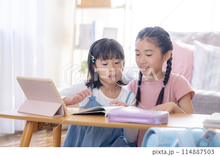 リビングで宿題をする姉妹 リビングで宿題をする姉妹 114887503
