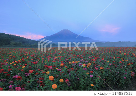 朝霧にけむる百日草咲く山中湖花の都公園から望む富士山 朝霧にけむる百日草咲く山中湖花の都公園から望む富士山 114887513