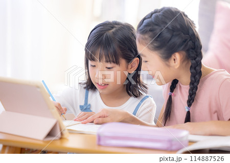 リビングで宿題をする姉妹 114887526