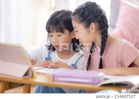 リビングで宿題をする姉妹 114887527