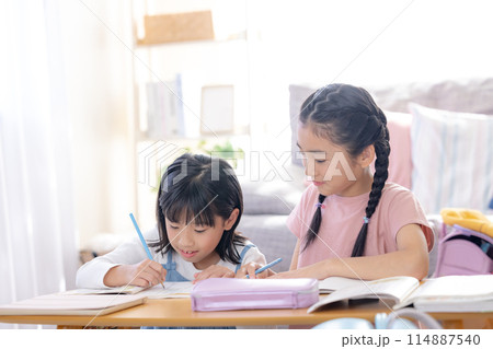 リビングで宿題をする姉妹 114887540