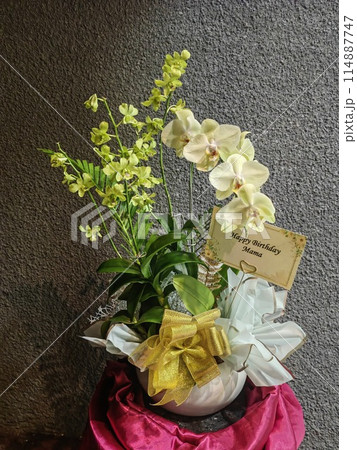 flowers in a gift box for birthday purposes 114887747