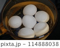 卵を調理するイメージ・温泉卵・ゆで卵 114888038