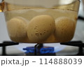 卵を調理するイメージ・温泉卵・ゆで卵 114888039