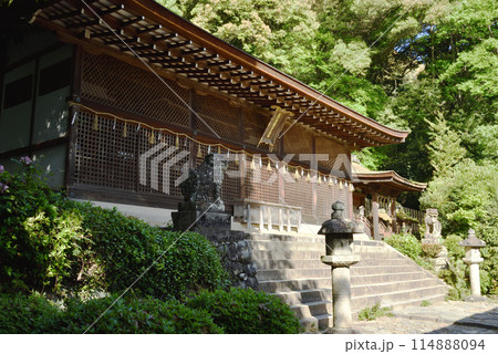 宇治上神社　本殿【国宝】 114888094
