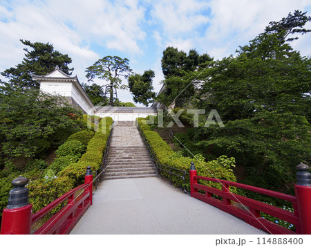 春・初夏の小田原城址公園 114888400