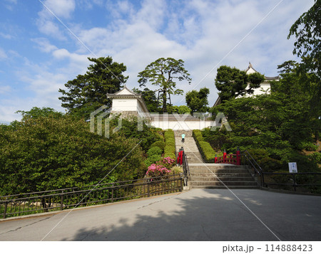 春・初夏の小田原城址公園 114888423
