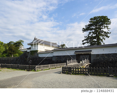 春・初夏の小田原城址公園 春・初夏の小田原城址公園 114888431