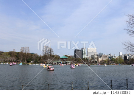 池のある公園 池のある公園 114888883