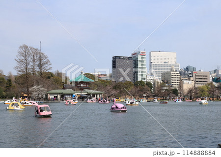 池のある公園の風景 114888884
