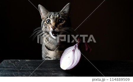 玉ねぎのにおいに衝撃を受ける猫 114889509