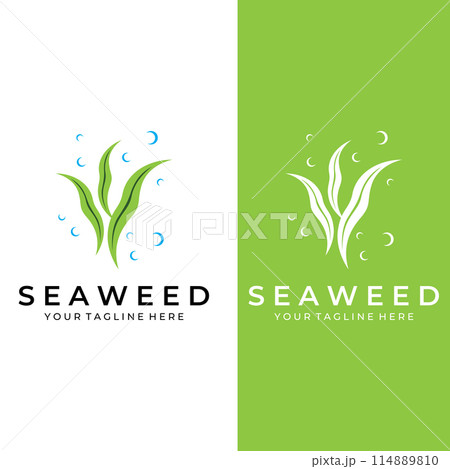 Seaweed logo with template illustration vector design. Seaweed logo with template illustration vector design. 114889810