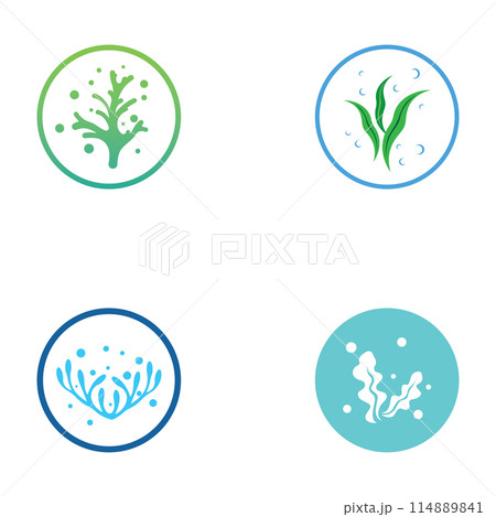 Seaweed logo with template illustration vector design. 114889841
