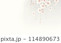 透明感のある桜の花の背景素材 114890673