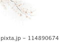 桜の背景素材 114890674
