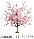 桜の枝と花のベクターイラスト 114890676