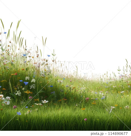 緑　自然　背景 114890677