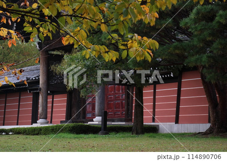 赤い塀と紅葉 114890706