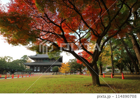 紅葉に包まれたお寺 114890708