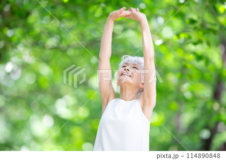 グレイヘアの女性　新緑　伸び 114890848