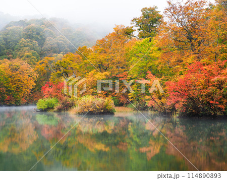 紅葉の鎌池 紅葉の鎌池 114890893