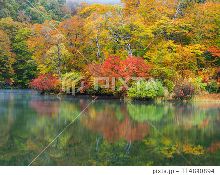 紅葉の鎌池 114890894