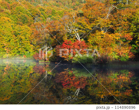 紅葉の鎌池 114890896