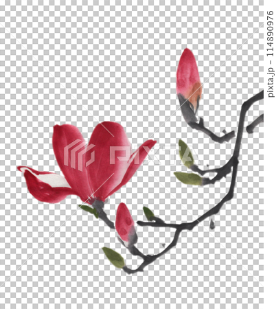 水墨画技法で描いた木蓮 水墨画技法で描いた木蓮 114890976