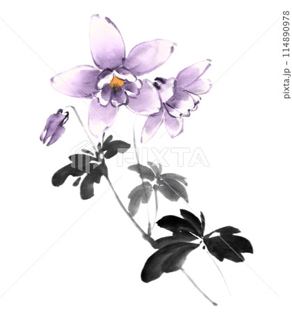 水墨画技法で描いたオダマキ 114890978