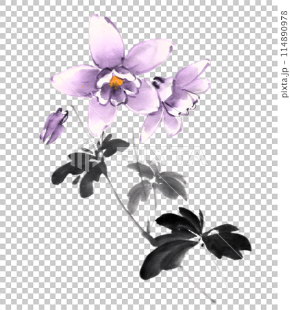 水墨画技法で描いたオダマキ 114890978