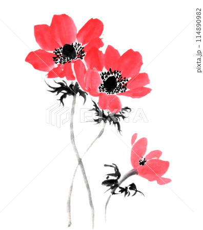 水墨画技法で描いたアネモネのイラスト素材 [114890982] - PIXTA