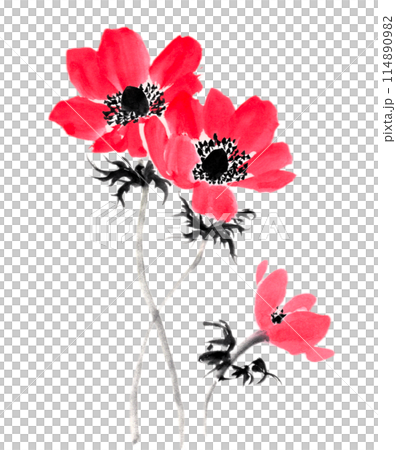 水墨畫法繪製的海葵 114890982