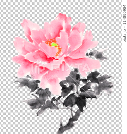 水墨画技法で描いた牡丹 114890984