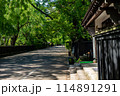 青々とした木々に囲まれた武家屋敷通り 114891291