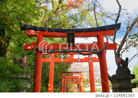京都　吉田神社の末社　竹中稲荷社（竹中稲荷神社）　　（京都市左京区） 114891383