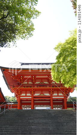 近江神宮 114891446