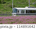 レンゲ畑を横目に 114891642
