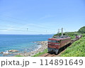 海辺を走る貨物列車 114891649
