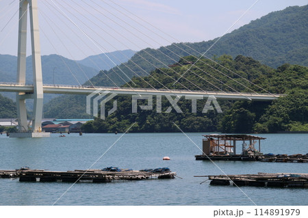 斜張橋と筏 114891979