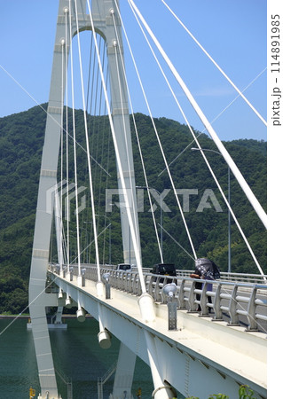 白い斜張橋 114891985