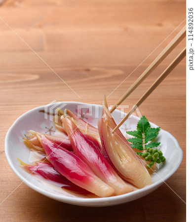 さっぱりして美味しい!みょうがの甘酢漬け(木目背景) さっぱりして美味しい!みょうがの甘酢漬け(木目背景) 114892036