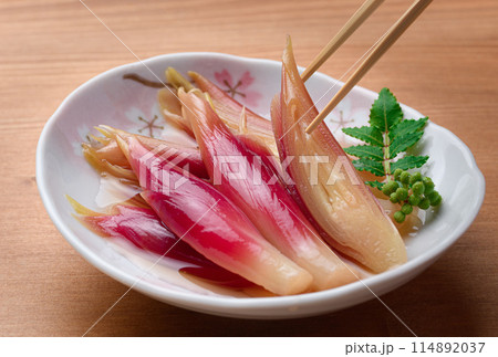 さっぱりして美味しい！みょうがの甘酢漬け（木目背景） 114892037