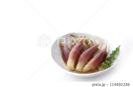 さっぱりして美味しい!みょうがの甘酢漬け(白背景 白バック) さっぱりして美味しい!みょうがの甘酢漬け(白背景 白バック) 114892289