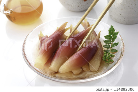 さっぱりして美味しい!みょうがの甘酢漬け(白背景 白バック) さっぱりして美味しい!みょうがの甘酢漬け(白背景 白バック) 114892306