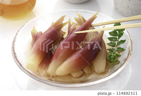 さっぱりして美味しい!みょうがの甘酢漬け(白背景 白バック) さっぱりして美味しい!みょうがの甘酢漬け(白背景 白バック) 114892311