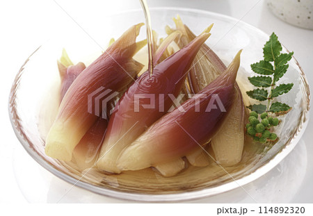 さっぱりして美味しい!みょうがの甘酢漬け(白背景 白バック) さっぱりして美味しい!みょうがの甘酢漬け(白背景 白バック) 114892320