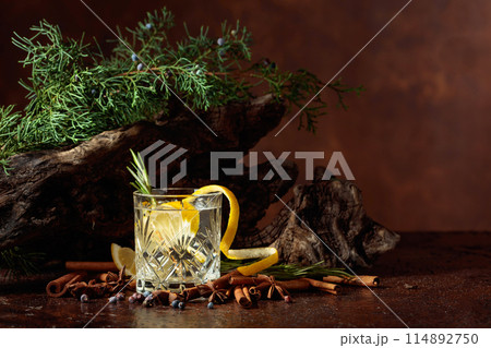 Cocktail gin-tonic with lemon, cinnamon, anise, and juniper berries. Cocktail gin-tonic with lemon, cinnamon, anise, and juniper berries. 114892750